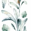 Wild Africa Botanics