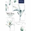 Wild Africa Botanics